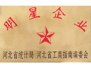 河北省明星企業(yè)